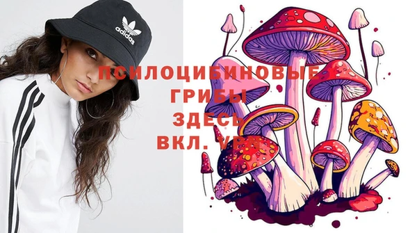 твердый Абдулино