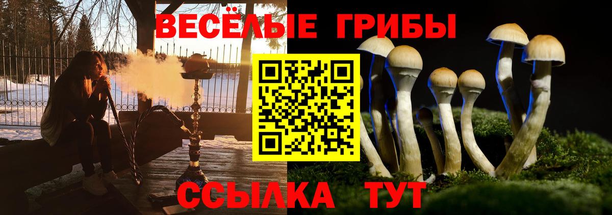 Галлюциногенные грибы Cubensis  Вход с VPN  Смоленск 